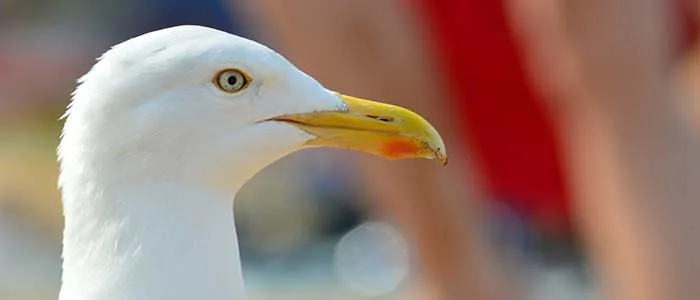 Latest Blogs - 米兰体育官网